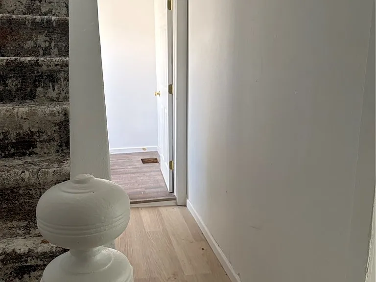 7 Dublin St — Photo 12