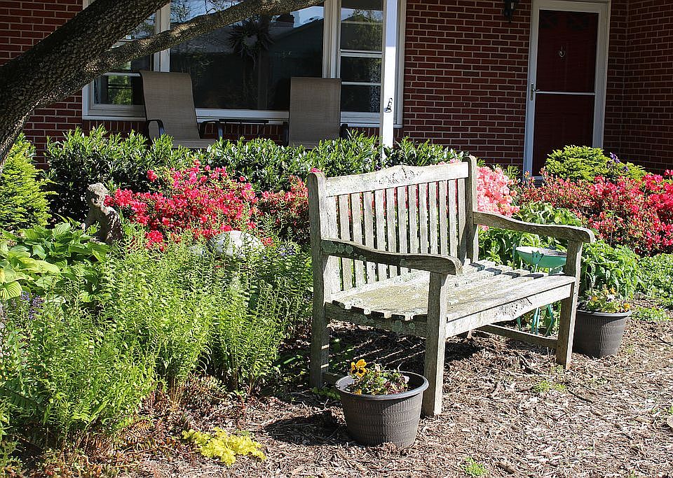 Front yard in Spring