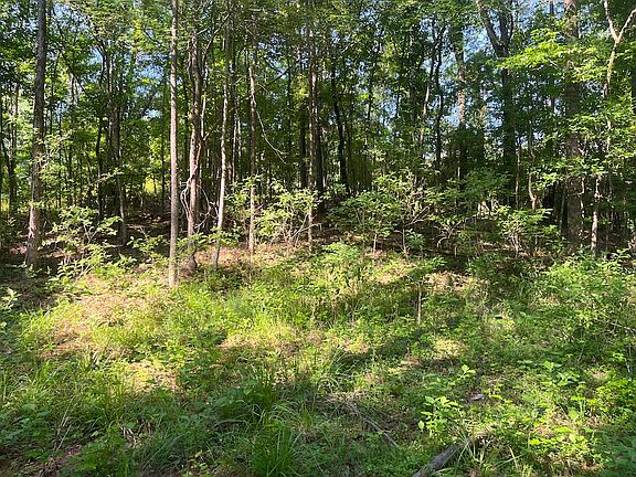 5th image of Vacant Lot Lot Wp001