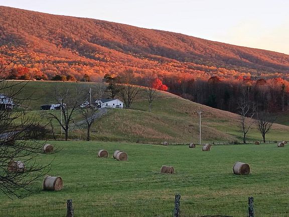 3rd image of 5110 Rich Patch Rd