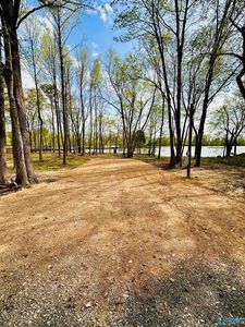 7 County Road 115 #7, Cedar Bluff, AL, 35959