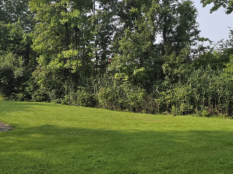 302 Bethel Rd — Photo 53