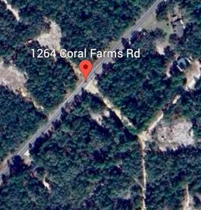 1264 Coral Farms Rd, Florahome, FL, 32140