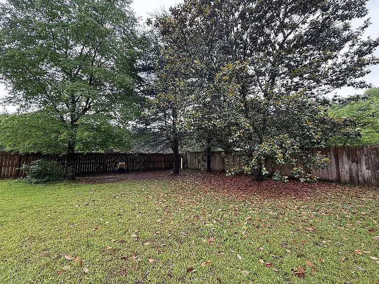 Cougar Dr — Photo 16