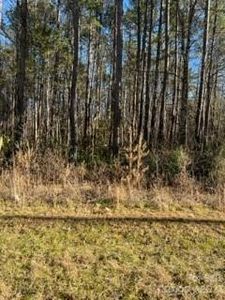 E State Highway 10, Catawba, NC, 28609