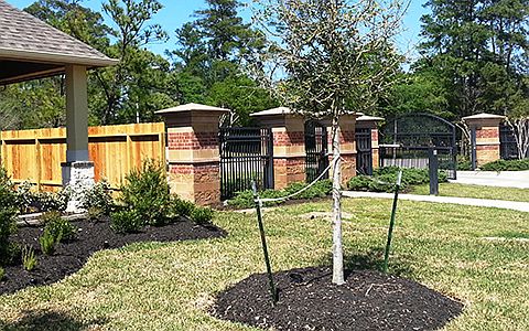 614 Santa Elena Canyon