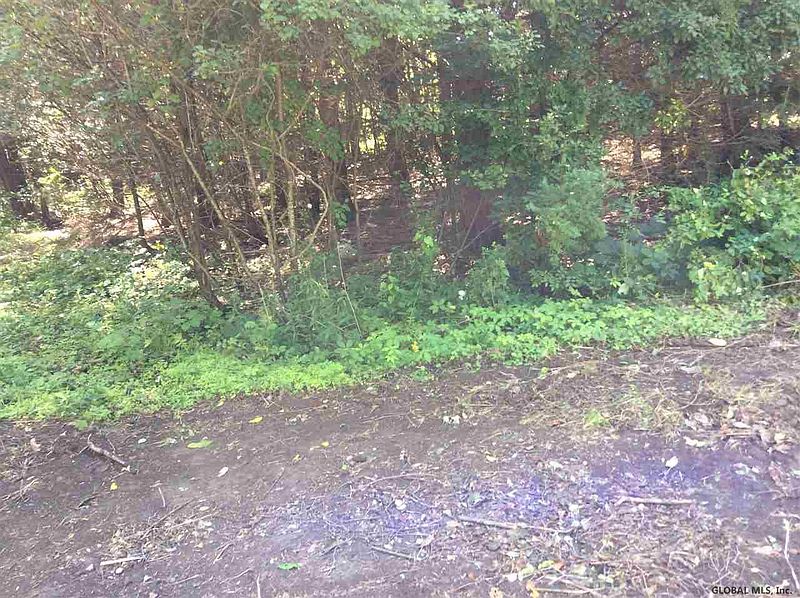 3rd image of RIDGE Road