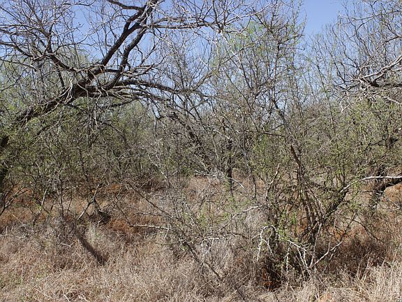 2nd image of 200 Rogers Ranch Road