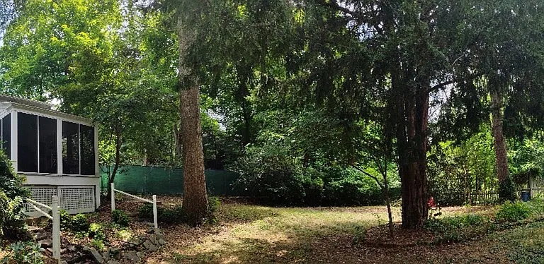 back yard