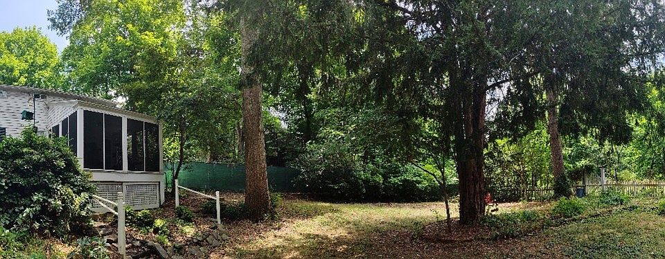 back yard