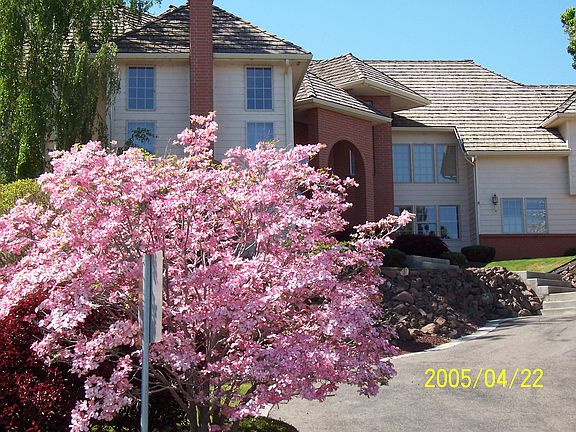 3rd image of 257 Riverwood St