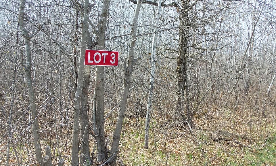 2nd image of LOT 3 Minerva Dam Rd