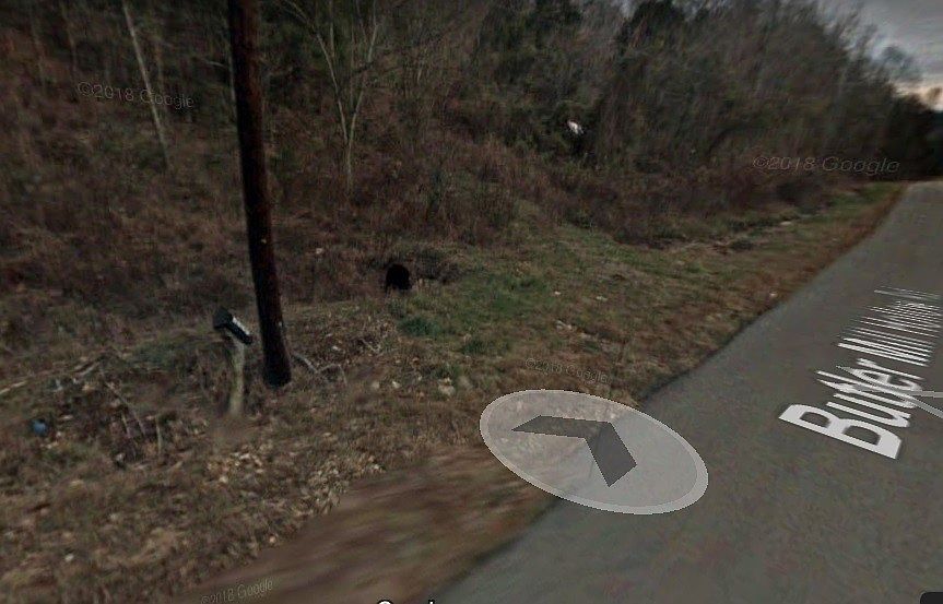 2nd image of 1576 Butler Mill Hollow Rd