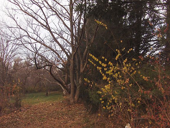 11+ acres in the City of Highland Heights Ky