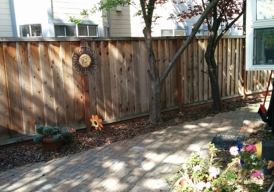 Side Yard