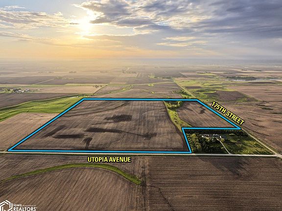 3rd image of Utopia Ave