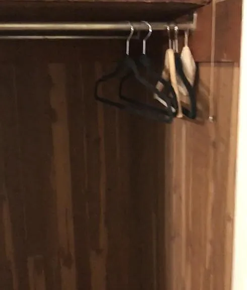 Hall cedar closet