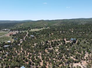 6317 Gardenia Ln, Show Low, AZ 85901