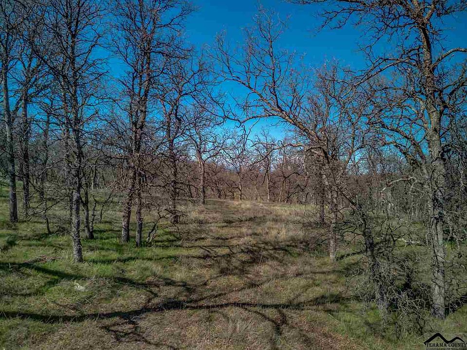 1st image of 19750 Hollow View Ct