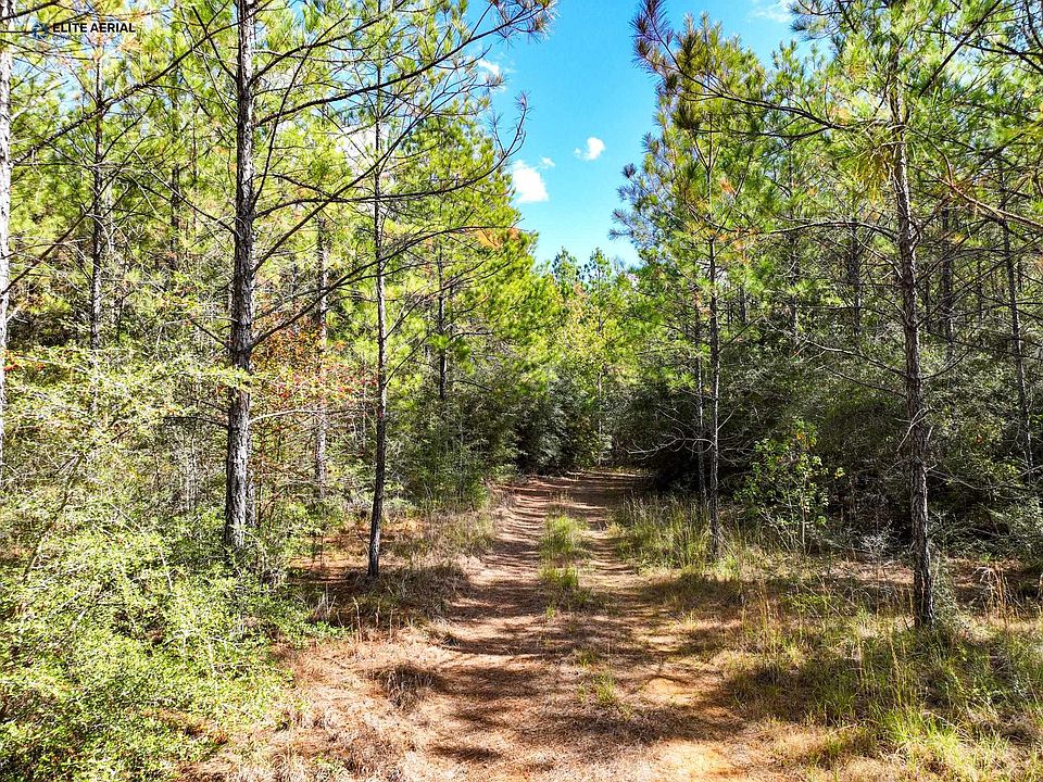 1901 County Road 454, Kirbyville, TX 75956 MLS 208951 Zillow