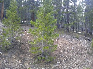 Lot 417 Glory Hole Road, Idaho Springs, CO 80452