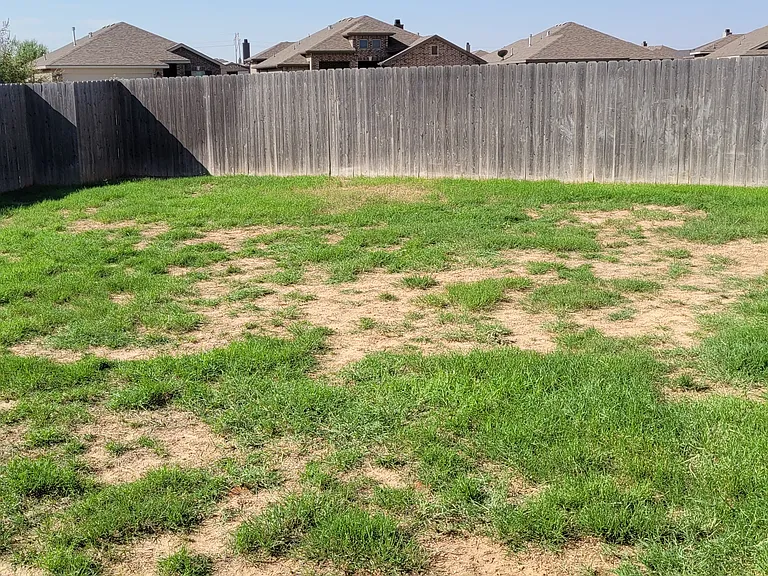 10113 Viola Ave — Photo 18
