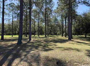 17817 NW 175th Ave, Alachua, FL 32615