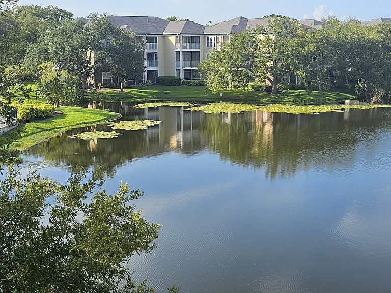 View from balcony