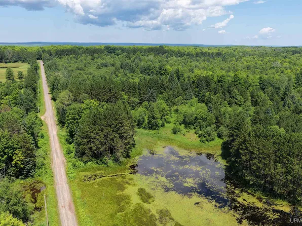 Peterson Rd, Nisula, MI 49952