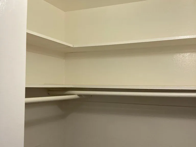 Walk in closet with shelving and light.