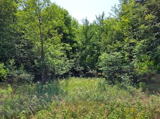 W Cameron Bridge Rd, Frederic, MI 49733