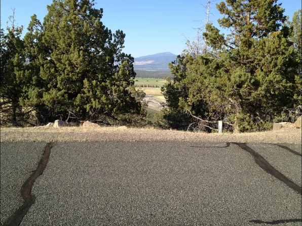 Juniper Peak Rd, Weed, CA 96094