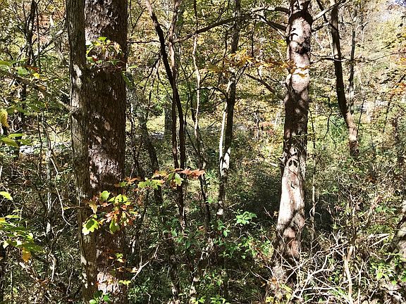 2nd image of Lots 17 Town Mountain Dr