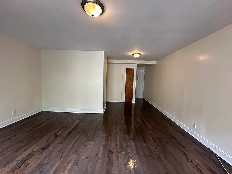390 E 21st St #2H — Photo 3