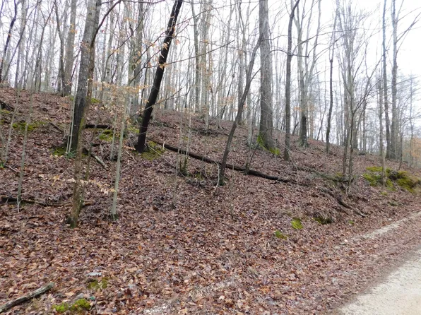 575 Storytown Ln, Waverly, TN 37185