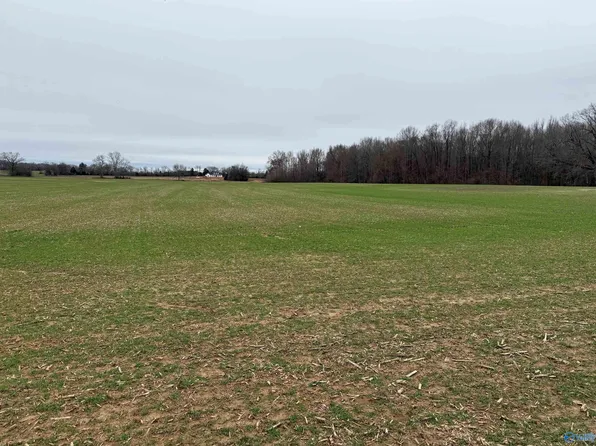 3 Stevenson Rd, Ardmore, TN 38449