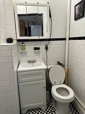 Rented by Eric Goodman Realty Corp | media 7