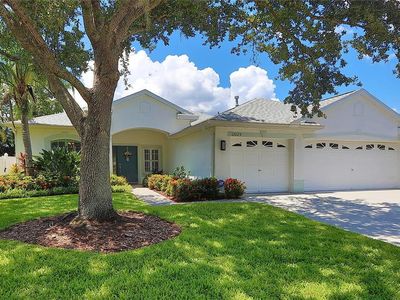 12029 Mountbatten Dr, Tampa, FL, 33626