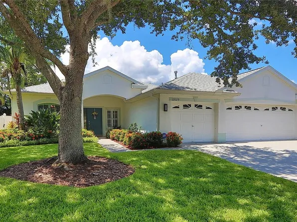 12029 Mountbatten Dr, Tampa, FL 33626