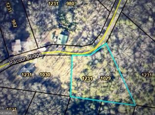 1029 Raccoon Rdg NE, Ranger, GA 30734