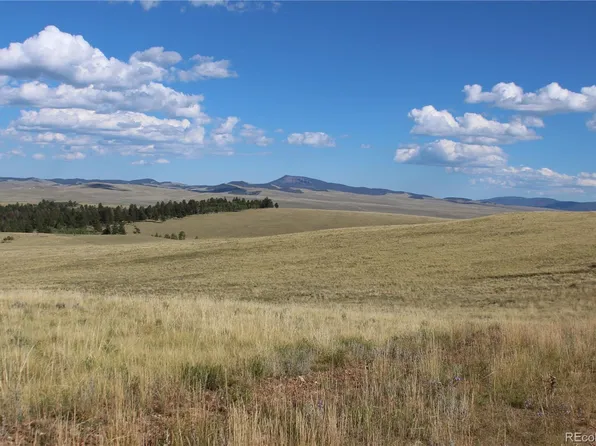 635 Hereford Drive, Hartsel, CO 80449