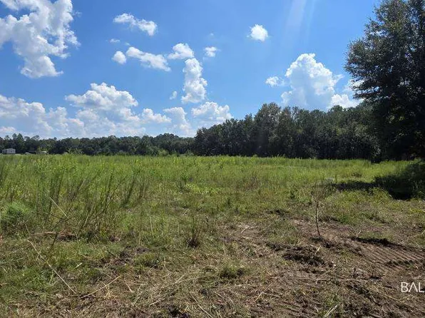 21373 Ima Brill Rd, Robertsdale, AL 36567