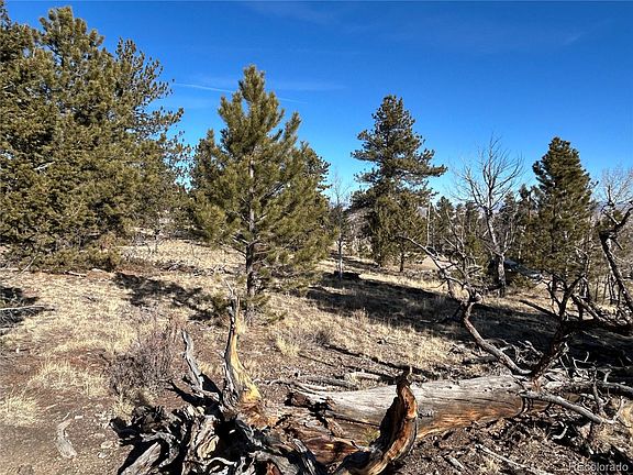 4th image of 3430 Singletree Road LOT 1348