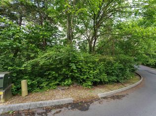 115 Alpine Mountain Way, Pigeon Forge, TN 37863