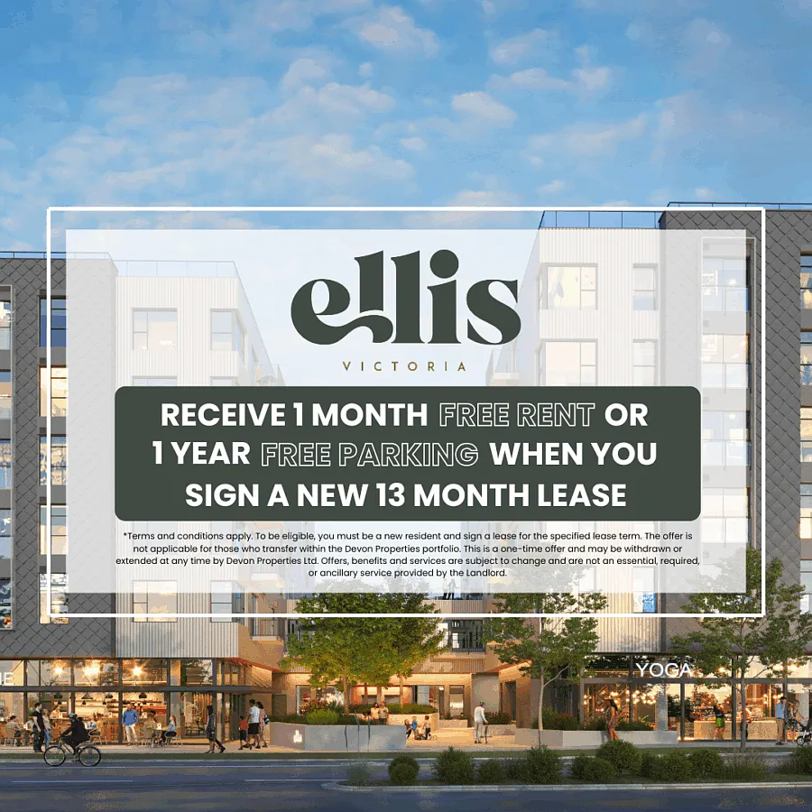 Ellis — Photo 3
