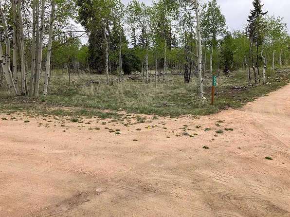 306 Bob White Cir, Como, CO 80432