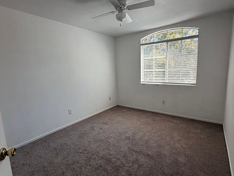 8780 White Cedar Ln — Photo 6