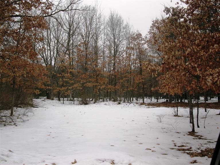 1st image of 1324 Truman Dr