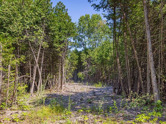 2nd image of 0 Forbes Rd