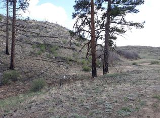 G Path, Cotopaxi, CO 81223